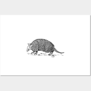 Armadillo walking along Posters and Art